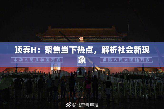 顶弄H：聚焦当下热点，解析社会新现象