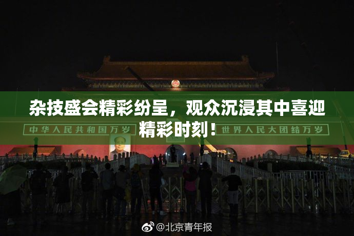 杂技盛会精彩纷呈，观众沉浸其中喜迎精彩时刻！
