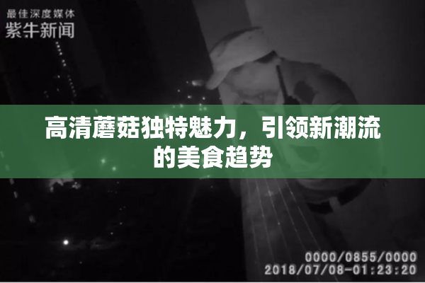 高清蘑菇独特魅力，引领新潮流的美食趋势