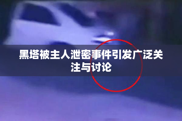黑塔被主人泄密事件引发广泛关注与讨论