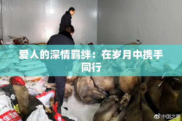 爱人的深情羁绊：在岁月中携手同行