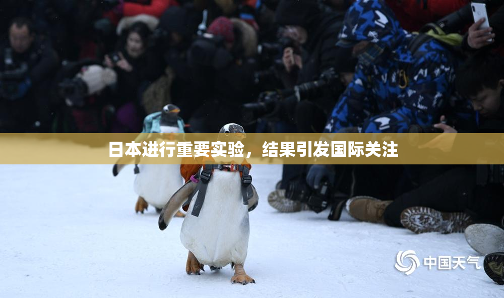 日本进行重要实验，结果引发国际关注