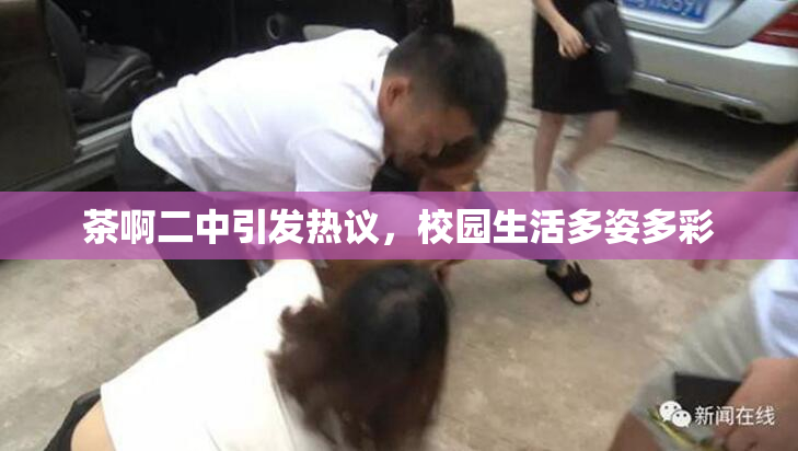茶啊二中引发热议，校园生活多姿多彩