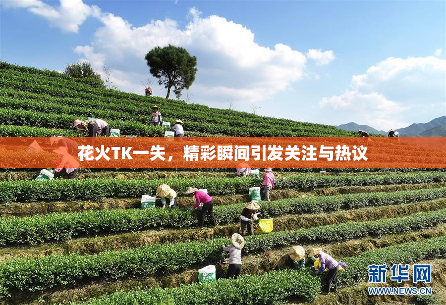 花火TK一失，精彩瞬间引发关注与热议
