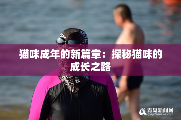 猫咪成年的新篇章：探秘猫咪的成长之路