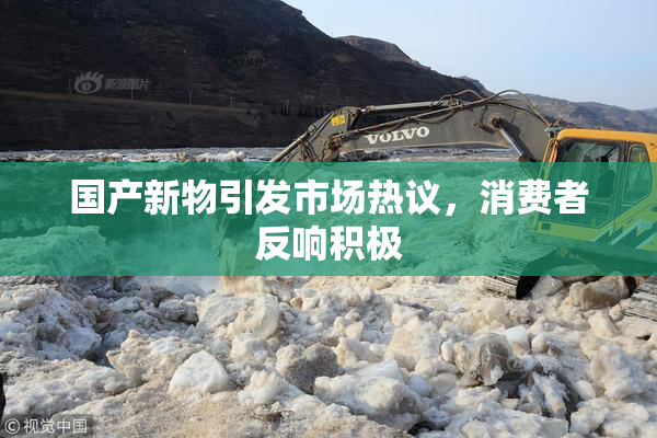 国产新物引发市场热议，消费者反响积极