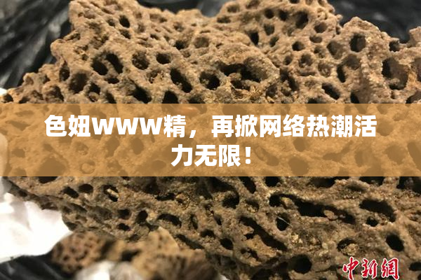色妞WWW精，再掀网络热潮活力无限！