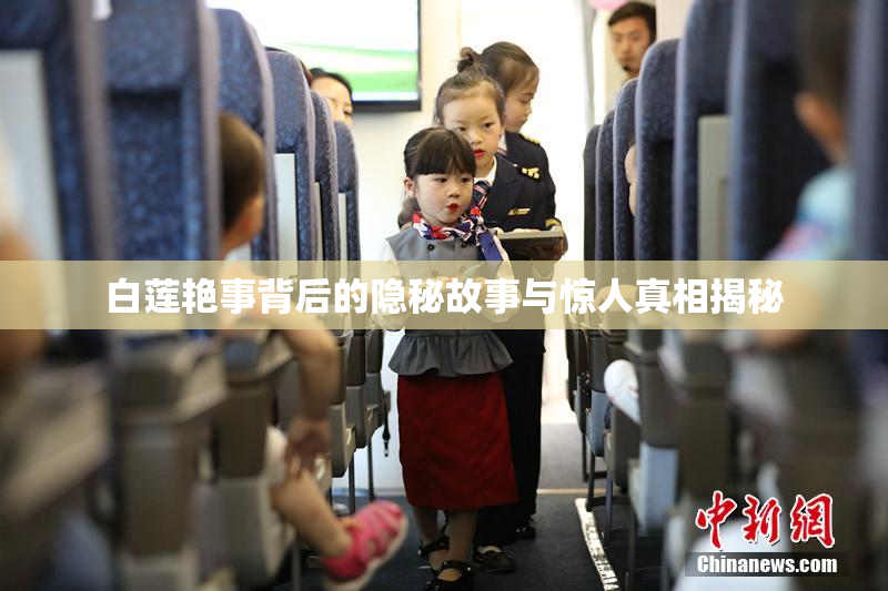白莲艳事背后的隐秘故事与惊人真相揭秘