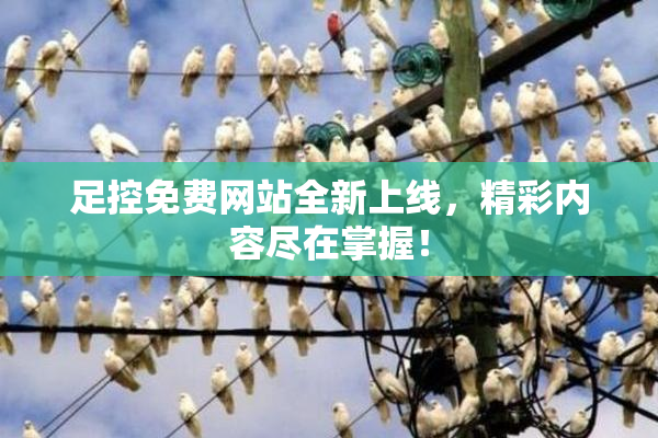 足控免费网站全新上线，精彩内容尽在掌握！