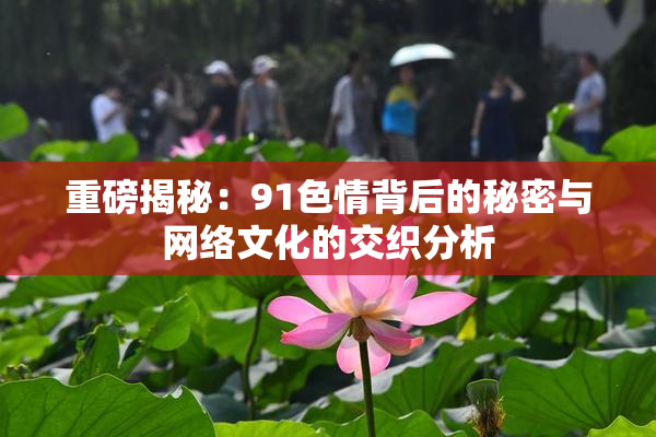 重磅揭秘：91色情背后的秘密与网络文化的交织分析
