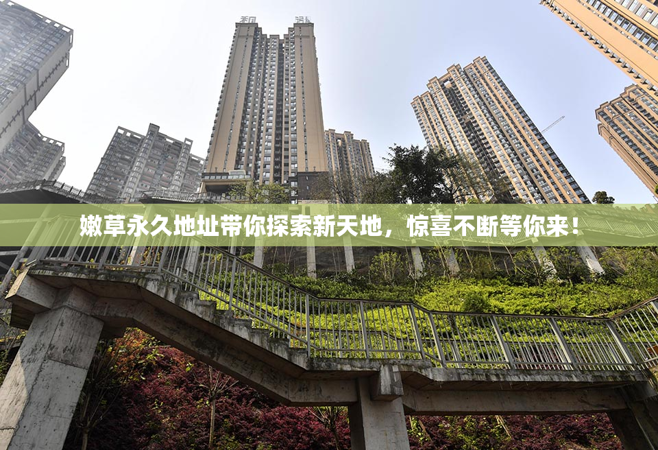 嫩草永久地址带你探索新天地，惊喜不断等你来！