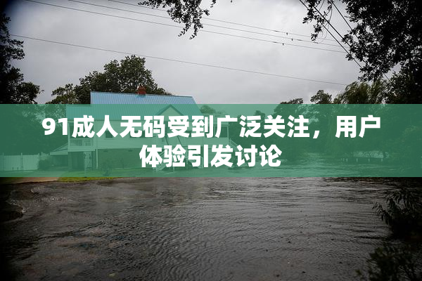 91成人无码受到广泛关注，用户体验引发讨论
