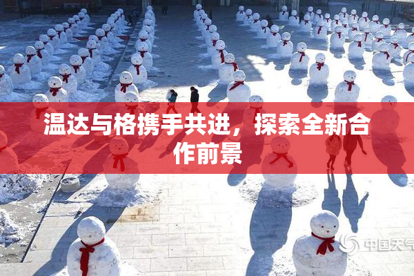 温达与格携手共进，探索全新合作前景