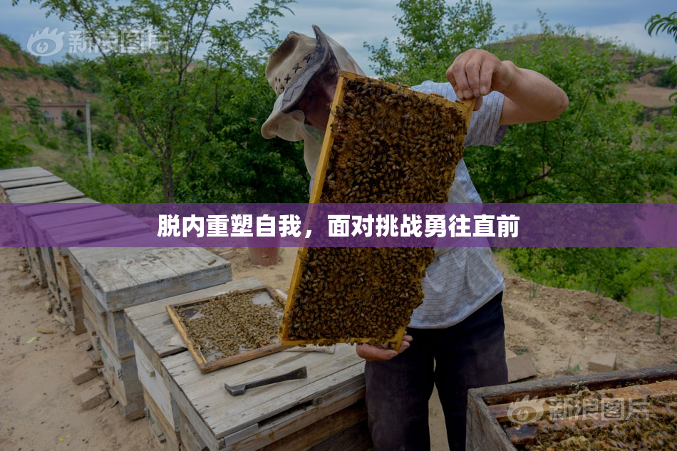 脱内重塑自我，面对挑战勇往直前