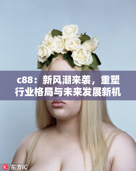 c88：新风潮来袭，重塑行业格局与未来发展新机遇