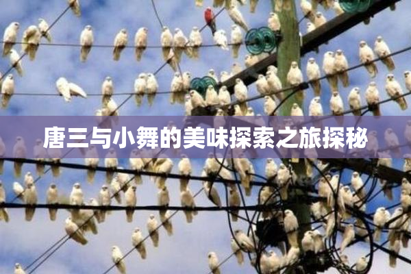 唐三与小舞的美味探索之旅探秘