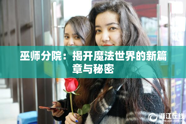 巫师分院：揭开魔法世界的新篇章与秘密