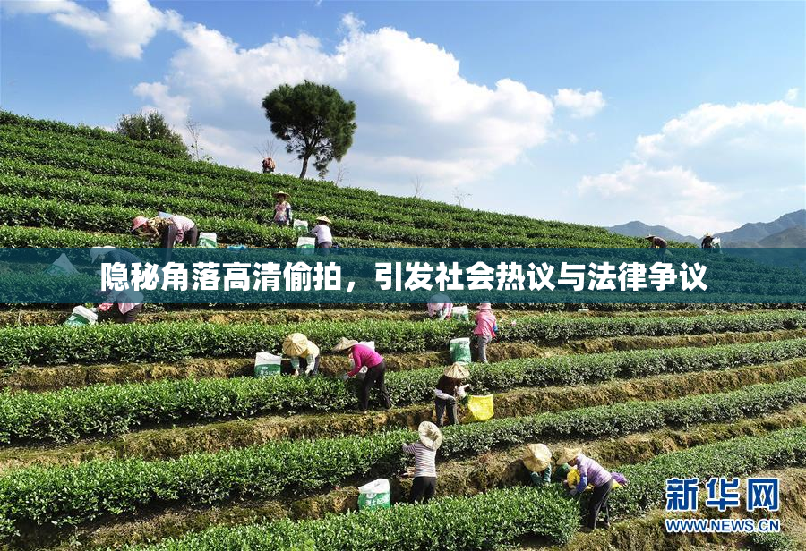 隐秘角落高清偷拍，引发社会热议与法律争议