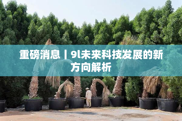 重磅消息丨9l未来科技发展的新方向解析