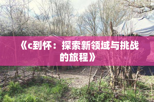 《c到怀：探索新领域与挑战的旅程》