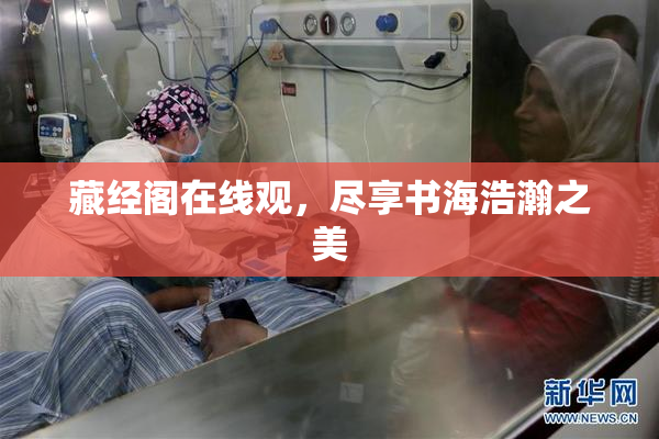 藏经阁在线观，尽享书海浩瀚之美