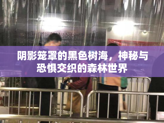 阴影笼罩的黑色树海，神秘与恐惧交织的森林世界