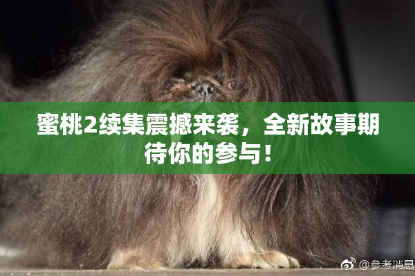 蜜桃2续集震撼来袭，全新故事期待你的参与！