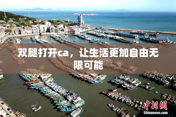 双腿打开ca，让生活更加自由无限可能