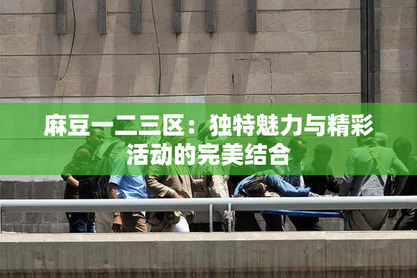 麻豆一二三区：独特魅力与精彩活动的完美结合