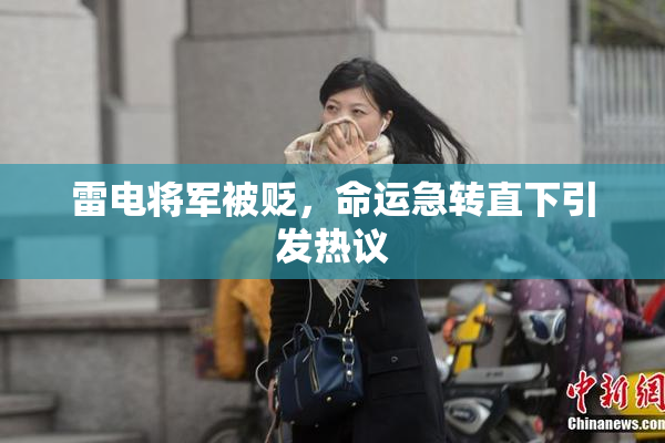 雷电将军被贬，命运急转直下引发热议