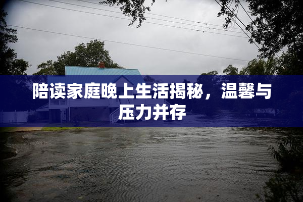 陪读家庭晚上生活揭秘，温馨与压力并存
