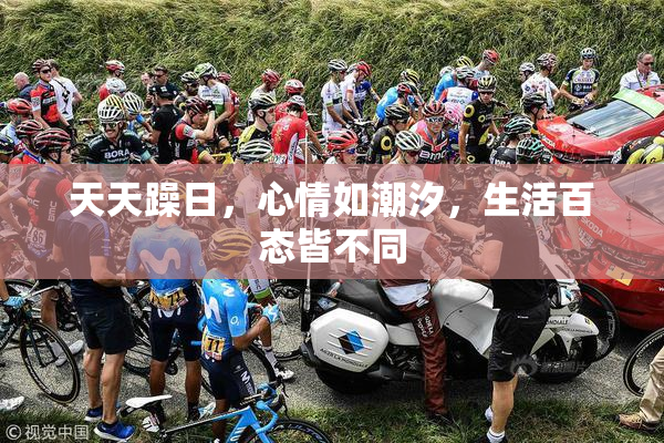 天天躁日，心情如潮汐，生活百态皆不同