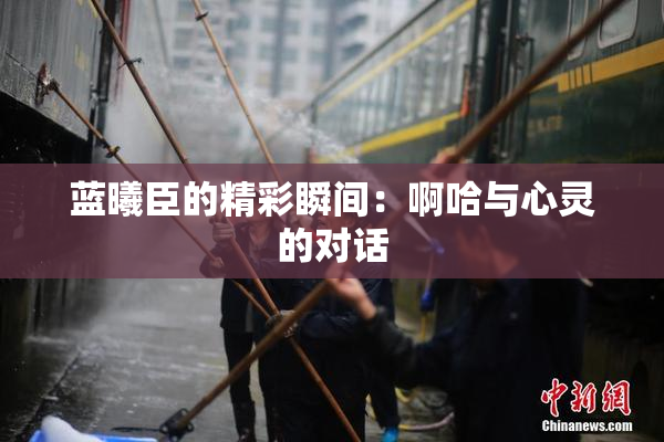 蓝曦臣的精彩瞬间：啊哈与心灵的对话