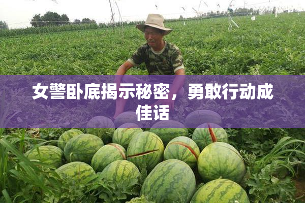 女警卧底揭示秘密，勇敢行动成佳话