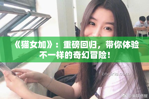 《猫女加》：重磅回归，带你体验不一样的奇幻冒险！