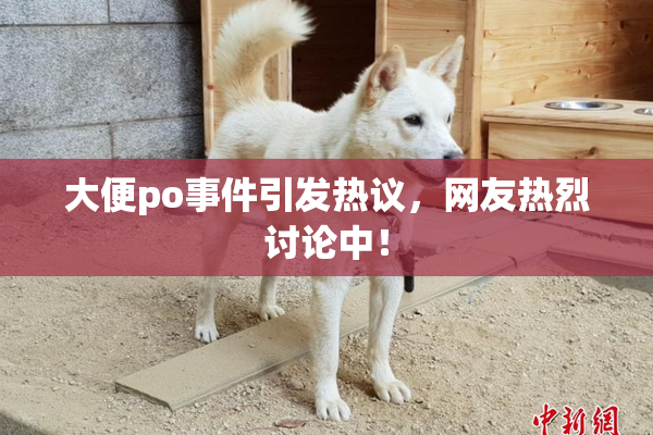 大便po事件引发热议，网友热烈讨论中！
