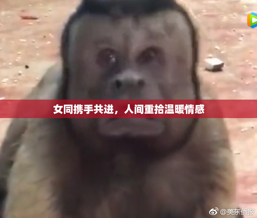 女同携手共进，人间重拾温暖情感