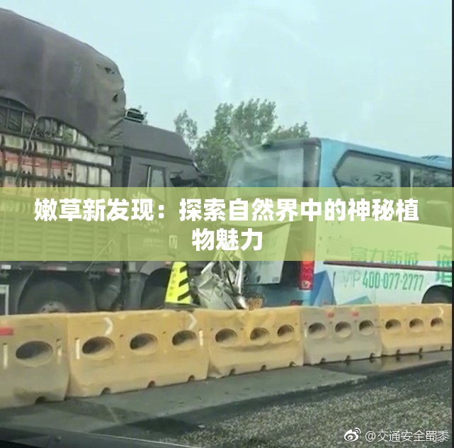 嫩草新发现：探索自然界中的神秘植物魅力