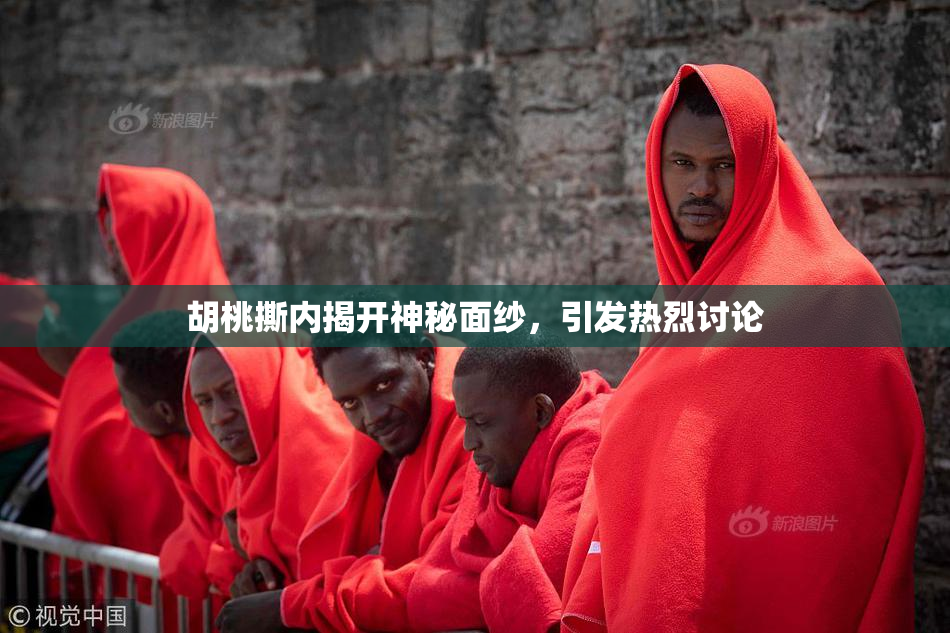 胡桃撕内揭开神秘面纱，引发热烈讨论
