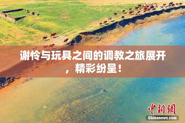 谢怜与玩具之间的调教之旅展开，精彩纷呈！