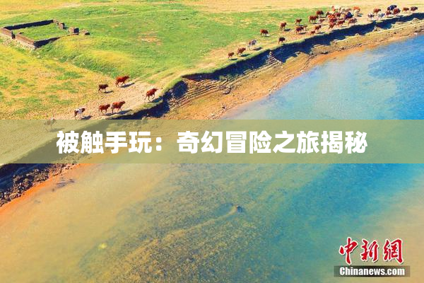 被触手玩：奇幻冒险之旅揭秘