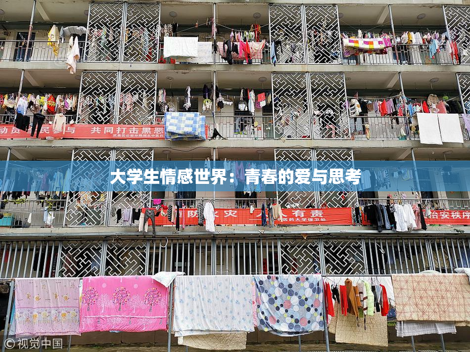 大学生情感世界：青春的爱与思考