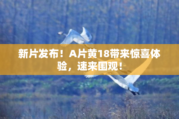 新片发布！A片黄18带来惊喜体验，速来围观！