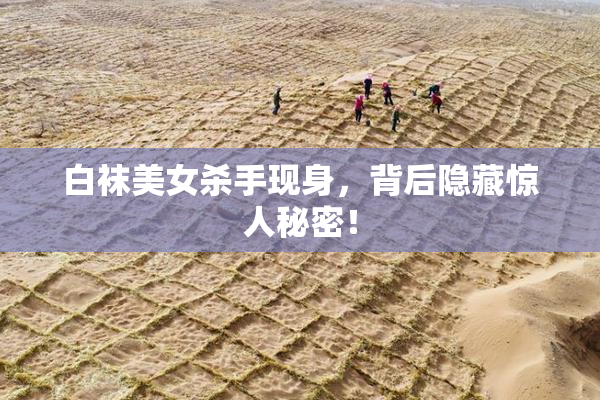白袜美女杀手现身，背后隐藏惊人秘密！