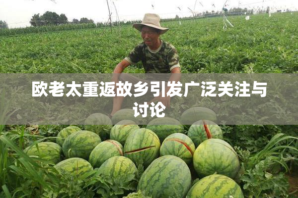 欧老太重返故乡引发广泛关注与讨论