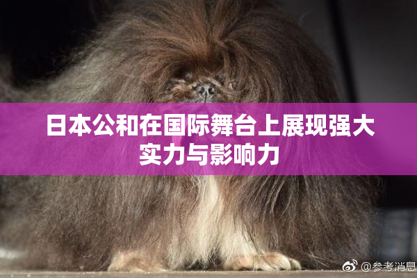 日本公和在国际舞台上展现强大实力与影响力