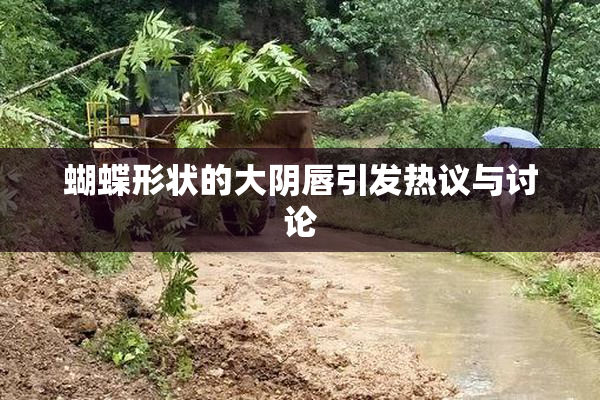 蝴蝶形状的大阴唇引发热议与讨论
