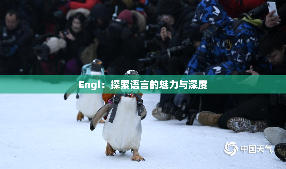 Engl：探索语言的魅力与深度