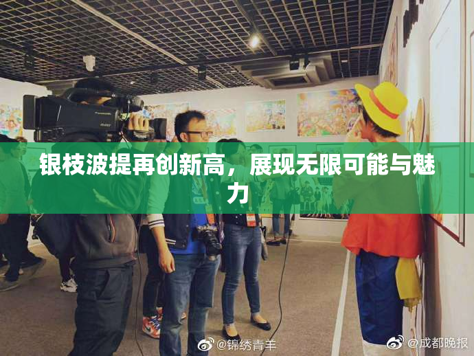 银枝波提再创新高，展现无限可能与魅力