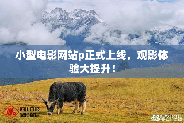小型电影网站p正式上线，观影体验大提升！